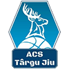 ACS特尔古日乌