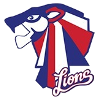 主队