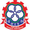 主队