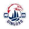 主队